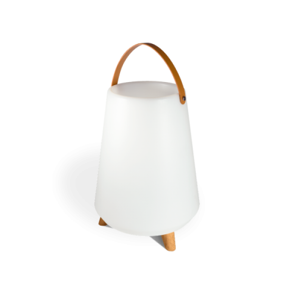 Speaker Rooftop bluetooth