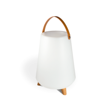 Speaker Rooftop bluetooth